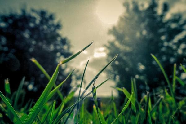 Customized Heat Treatment for Tool Steels